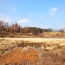 통일로 금촌농장 네이버블로그