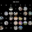 독산로41길 | 월간 인스타 8월(홈캉스 요리, 신라호텔 결혼식, 식집사, 틔운미니, 깻잎 페스토, 고양이 수제간식...