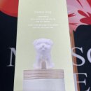 편안한 댕 이미지