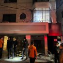 가로수길 이미지