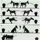 좋은선택 이미지