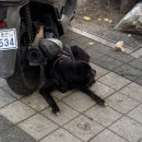 토마토김밥 대치점 | 쳇바퀴처럼 돌아가는 일상 폰카털이
