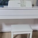 (내돈내산 ) 영창 커즈와일 KT1 디지털피아노 구입후기 / 사용후기 입니다.