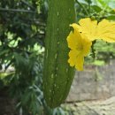 반월농장 이미지