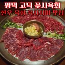 삼성전자 앞 | 평택 고덕 맛집 꽃시육회 삼성전자 앞 육회 육사시미 맛집 스지수육전골 라면도 맛있어요
