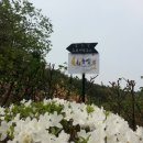 시립한신숲어린이집 이미지