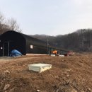 은하수꽃벵이