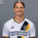 더비전행정사 이미지