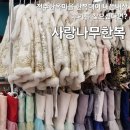 전주한옥마을 사랑나무한복, 한복대여 내돈내산 후기