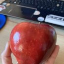 Red apple as fairy tale 이미지