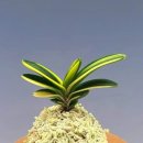 미보치과의원 이미지