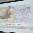 아카데미블레스