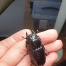 (주)충일