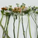 아모레플라워 | [원데이 클래스] 아모레퍼시픽 광주센터ㅣ플라워ㅣ풀꽃빌리지ㅣ봄꽃다발 후기