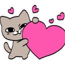 고양이미용실 이미지