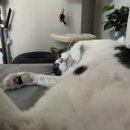 부천제일정형외과의원 이미지