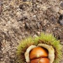 매일2농장 이미지