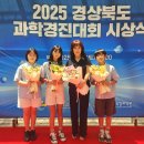 금오초등학교 이미지