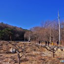 지장2천 | [속초여행] 다시 찾은 성인대(신선대)와 금강산 화암사 유람(2025.12.18)