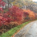 둔내유스호스텔 수영장 이미지