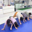 스웻바디라이프mma주짓수킥복싱 이미지