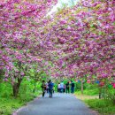 4월충남축제=국가유산야행축제~기지시줄다리기축제~삽교호드론라이트쇼~성웅이순신축제~윤봉길평화축제 이미지