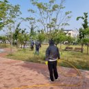 나래솔공원 이미지