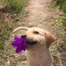 계양유치원 이미지