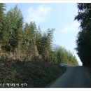 대룡경로당 이미지