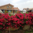 하회로 가는 펜션형민박 이미지