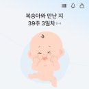가까운세종충대약국 | 2025.07.12 - 2026.03.06 산부인과 진료 내역/비용 최종본