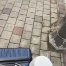 가현스시 | 난 널 버리지 않아... 죽여버릴거야
