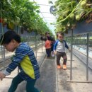 수곡어린이집 이미지