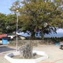 진전면940 이미지