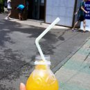 월정리 문스테이 게스트하우스 이미지