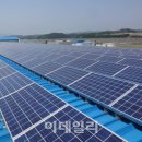 금호태양광발전소 이미지