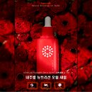 리모사 스킨독스 네이버블로그