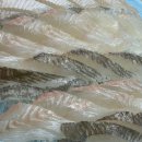 면목동-070 | 면목동조개탕 횟집 신선한 회와 해산물 회맛집조개사랑