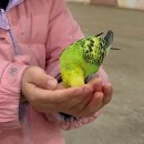 제주 새별프렌즈 솔직 후기: 방목 동물 체험, 앵무새 먹이주기까지!