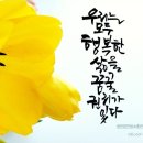 모든날이 행복하기를 Daum카페