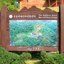 국립아세안자연휴양림 이미지