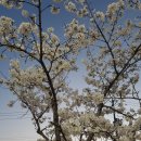 달마설렁탕&숯불갈비문화점 이미지