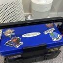 리좀 | 낚시 태클박스 추천 리좀 M사이즈 내돈내산 후기