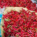 멍석마당 이미지