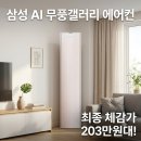 상주리턴몰 | 최저가 약 203만 원! 삼성 25년형 AI 무풍콤보 갤러리 스탠드형 에어컨 AF80F17D21CS 전국기본설치비...