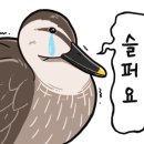 그늘막119 이미지