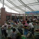 사포산촌생태마을 이미지