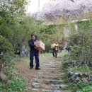 바다뜰 민박 이미지