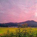 태백산맥 - 서대문구 명물길 46-5 | 태백산맥