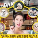 기아(주)부산서비스센터 이미지